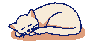 cat sleeping